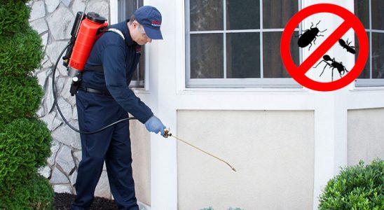 Çaldıran Böcek İlaçlama böcek ilaçlama ve haşere kontrolü — ilaclama-tr.com